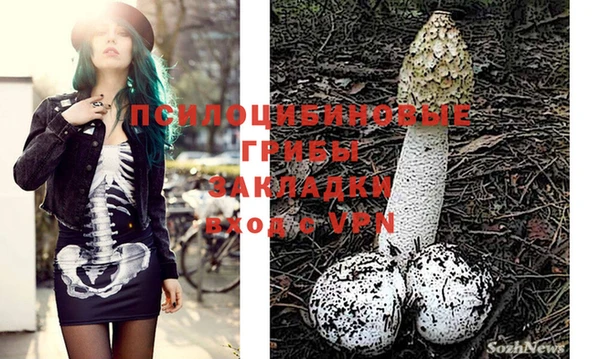 MDMA Premium VHQ Армянск