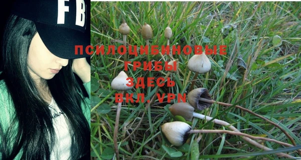 соль курить ск Аркадак
