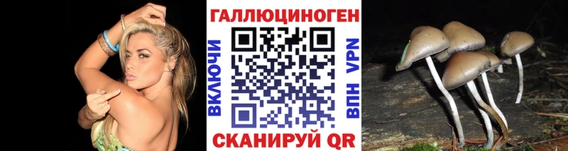 Псилоцибиновые грибы мицелий Малмыж