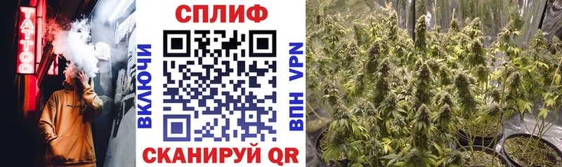 Бошки марихуана планчик  как найти   Малмыж 